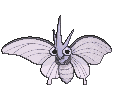 049 venomoth.gif