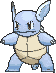 008 wartortle