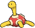 213 shuckle