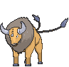 128 tauros