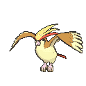 018 pidgeot