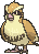 016 pidgey