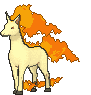 078 rapidash