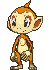 390 chimchar.gif