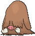 221 piloswine