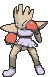 107 hitmonchan