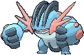 260 swampert mega