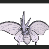 049 venomoth.gif