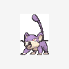 019 rattata