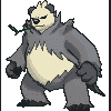 675 pangoro