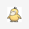 054 psyduck