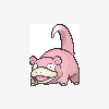 079 slowpoke