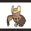 164 noctowl