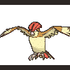 017 pidgeotto