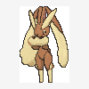 428 lopunny