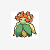 182 bellossom
