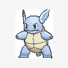008 wartortle