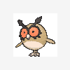 163 hoothoot