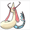 350 milotic.gif