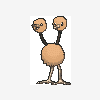 084 doduo
