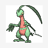 253 grovyle