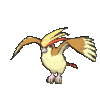 018 pidgeot