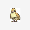 016 pidgey