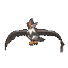 398 staraptor.gif