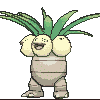 103 exeggutor
