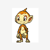 390 chimchar.gif