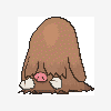 221 piloswine