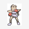 107 hitmonchan