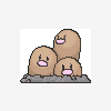 051 dugtrio