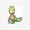 252 treecko