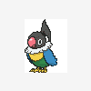 441 chatot.gif