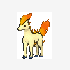 077 ponyta
