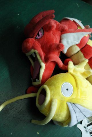 Golden Magikarp And Red Gyarados 2