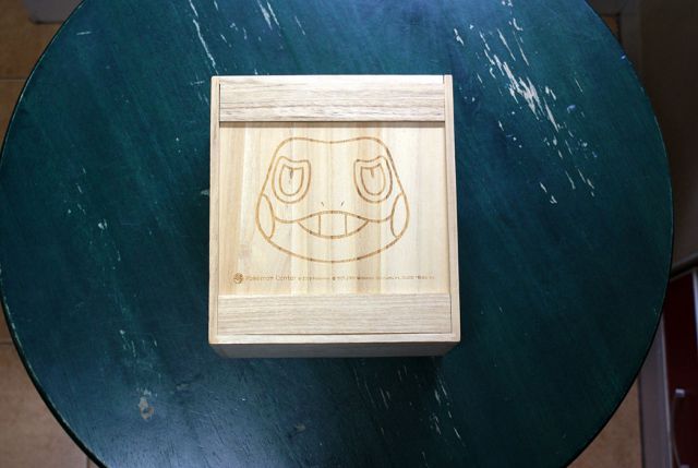 Pokemon Hat Master (17)