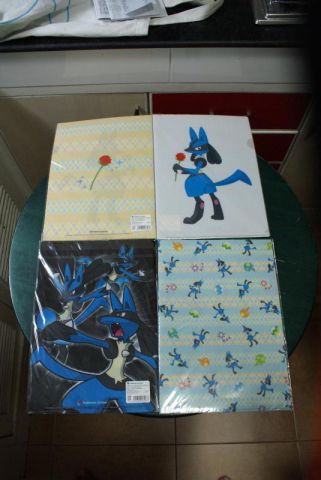 Lucario Lover 2
