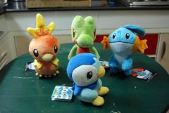 Hoenn Starter Plush