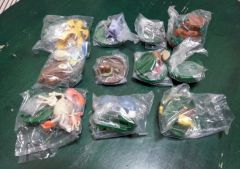 Pokemon Zukan Zenkoku Collection 3 (3)