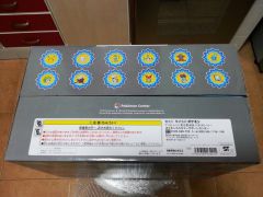 Pokémon Center PokéDoll House (8)