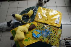 Pikachu Outbreak Merchandise