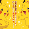 Pocket Monsters Pikachu Premium Set for New Nintendo 3DS