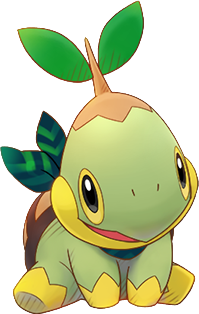 387Turtwig PSMD