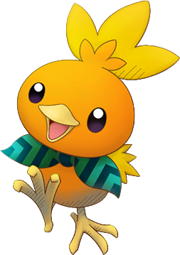255Torchic PSMD