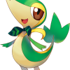 495Snivy PSMD