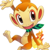 390Chimchar PSMD