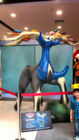 2015 06 21 10 00 10 deco