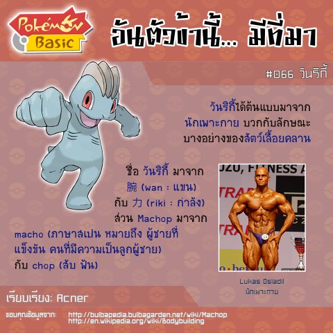 066. Machop - วันริกี้